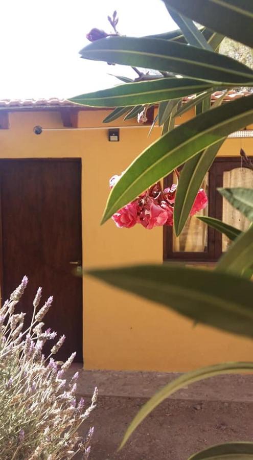Mamaku Huasi Hotel Cafayate Exterior foto